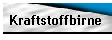 Kraftstoffbirne