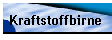 Kraftstoffbirne